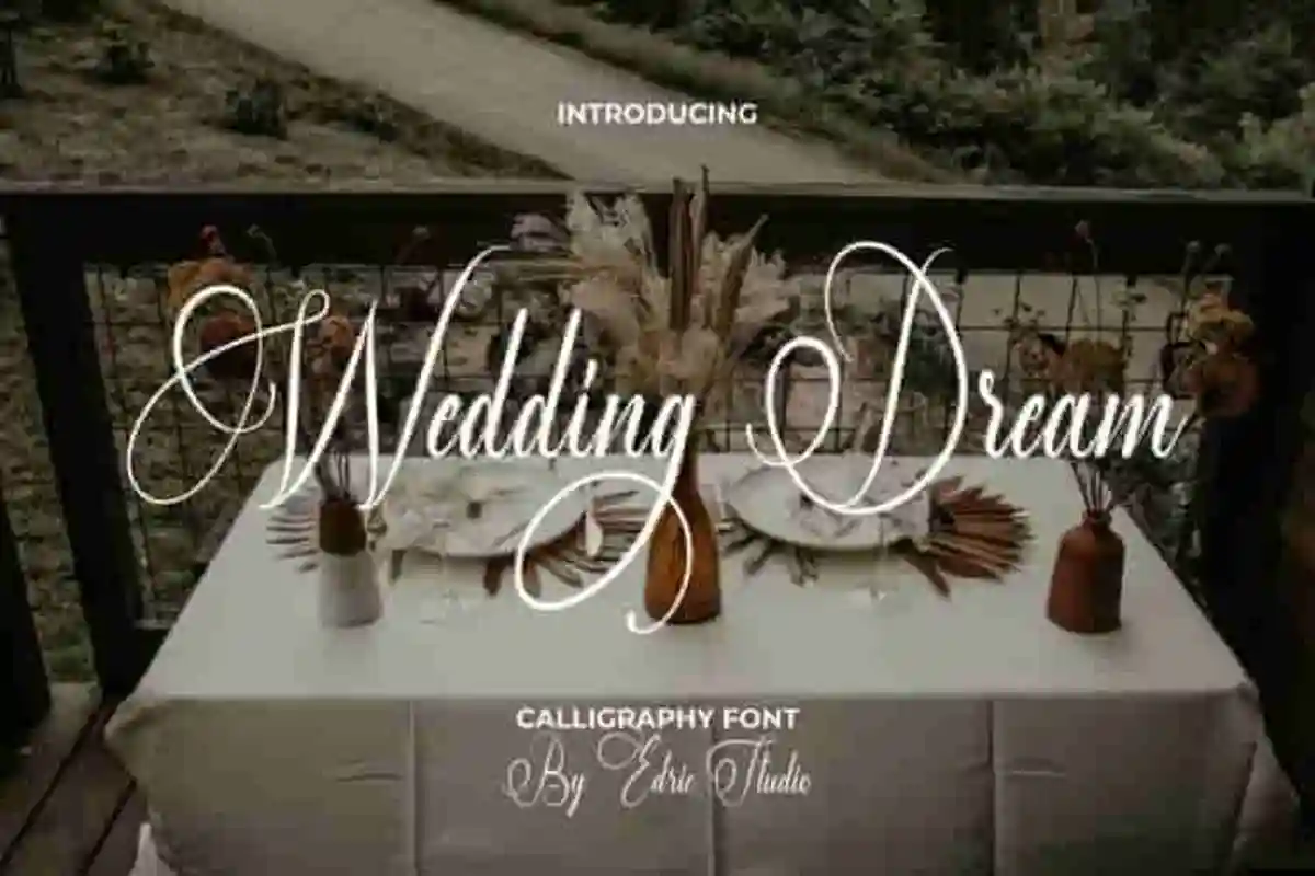 Wedding Dream