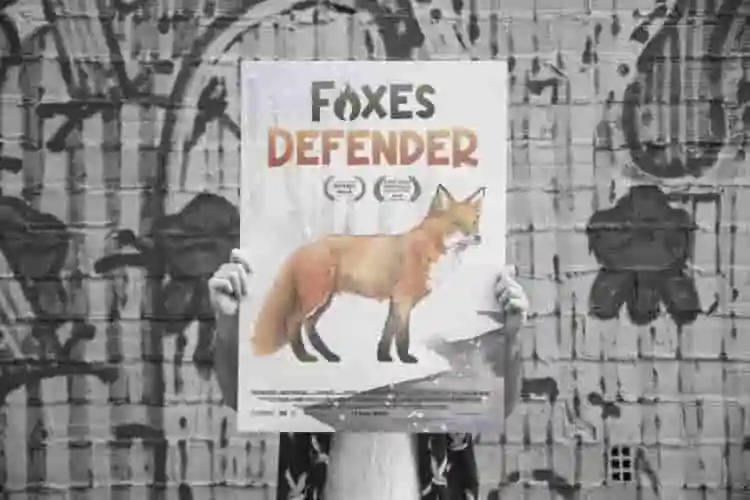 Fire Foxes