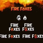 Fire Foxes