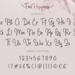 Find Happiness