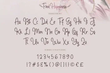 Find Happiness