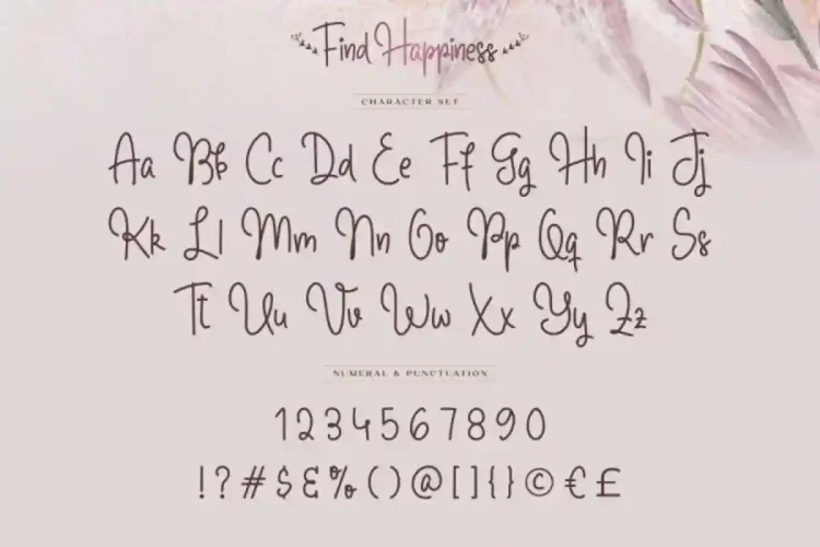 Find Happiness