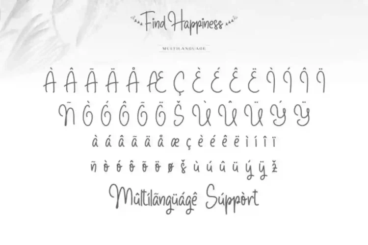 Find Happiness