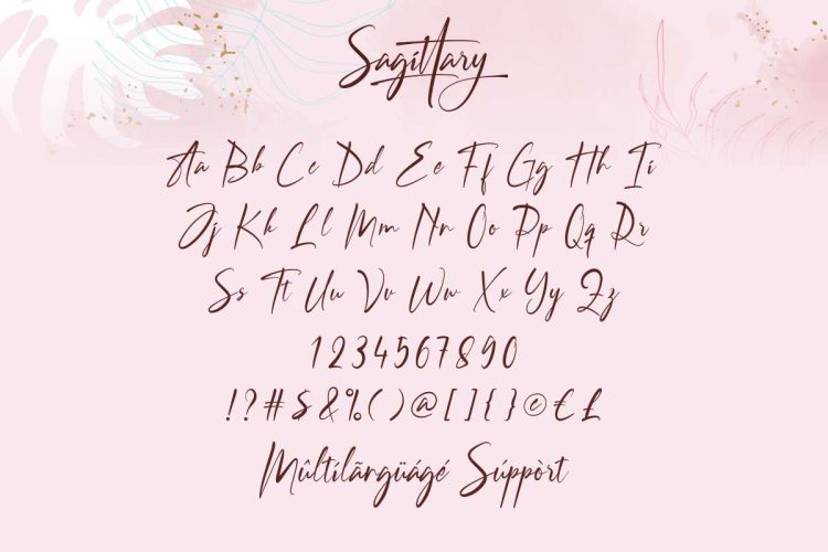 Sagittary Signature Font - Image 4