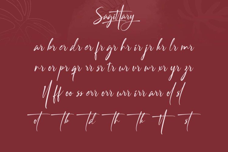 Sagittary Signature Font - Image 6