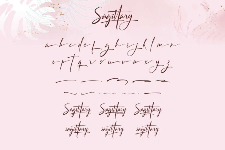 Sagittary Signature Font - Image 8