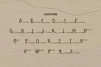 Classy Script