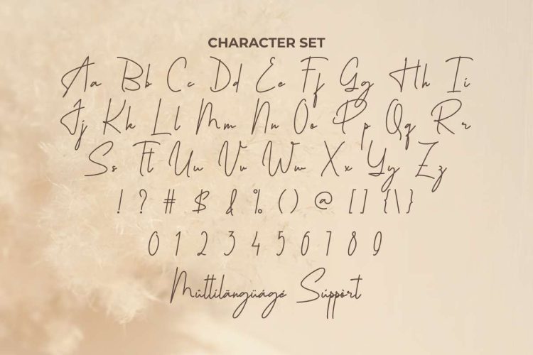 Philosophe Signature Font - Image 3