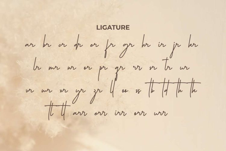 Philosophe Signature Font - Image 7