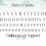 Berry Cheeks