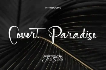 Covert Paradise