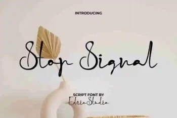 Stop Signal