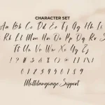 Ordinary Signature