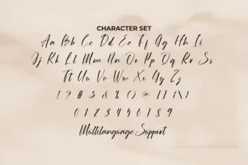 Ordinary Signature