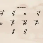 Ordinary Signature