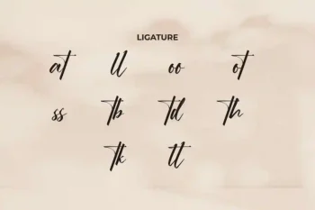 Ordinary Signature