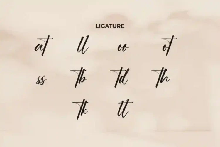 Ordinary Signature