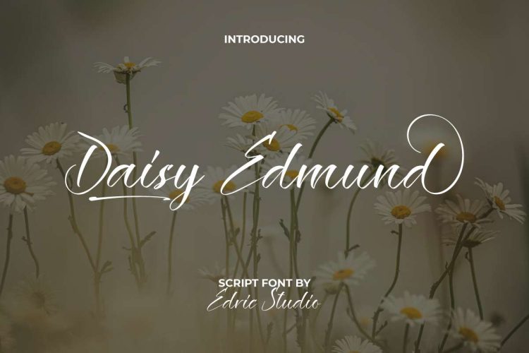 Daisy Edmund Font