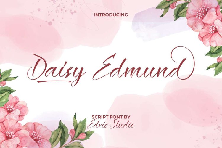 Daisy Edmund Font - Image 10