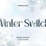 Winter Switch