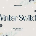 Winter Switch