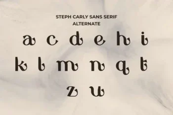 Steph Carly