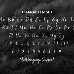 Graphy Brush Font