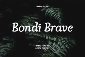 bondi brave