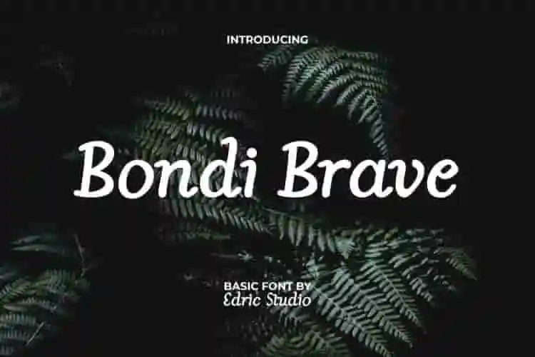 bondi brave