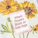 Bloomville