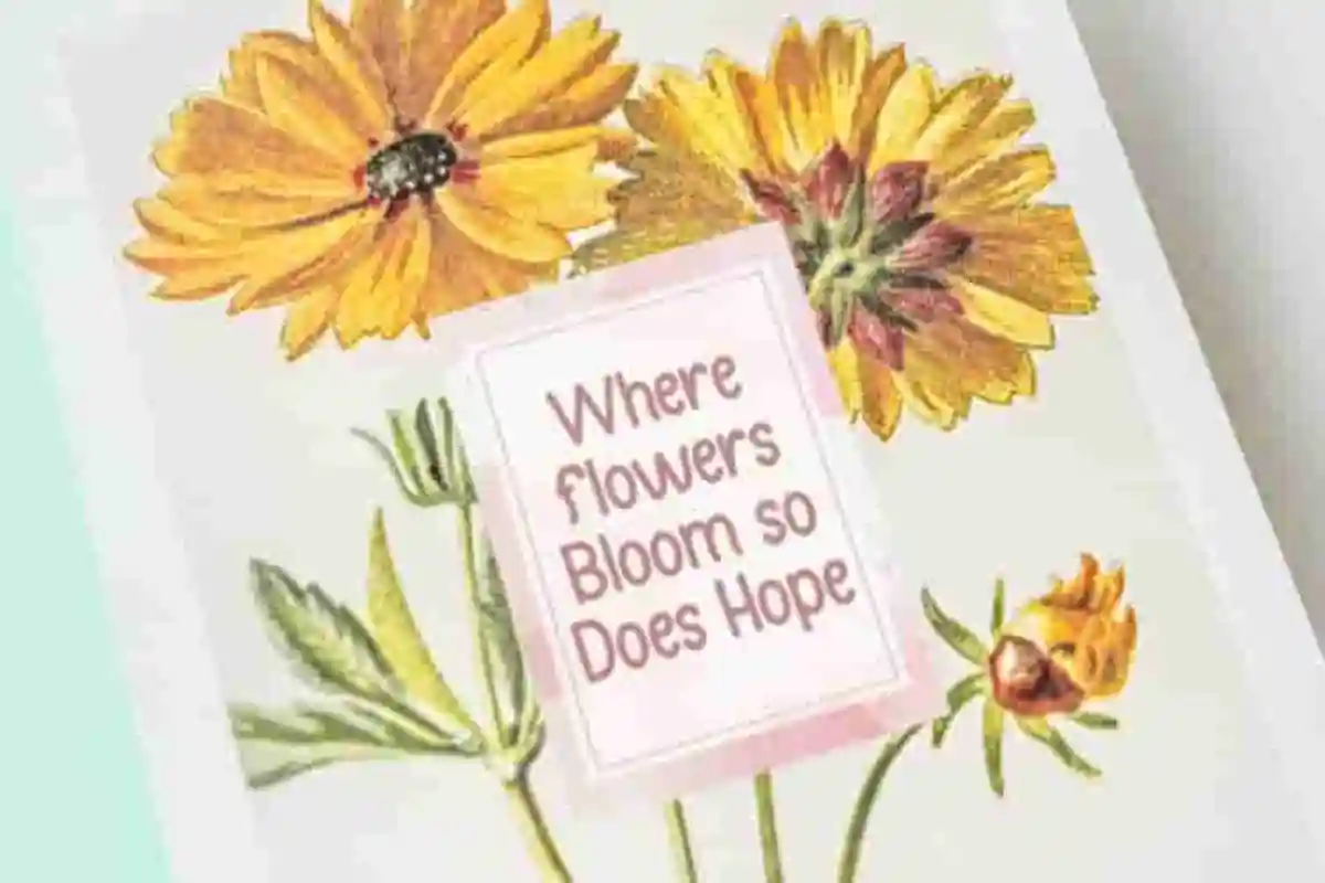 Bloomville