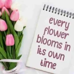 Bloomville