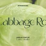 Cabbage Roll Font