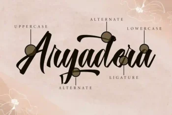 Downgrade