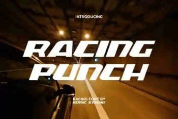 Racing Punch