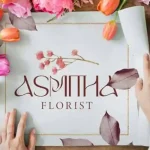 Bilshen-5-750×500