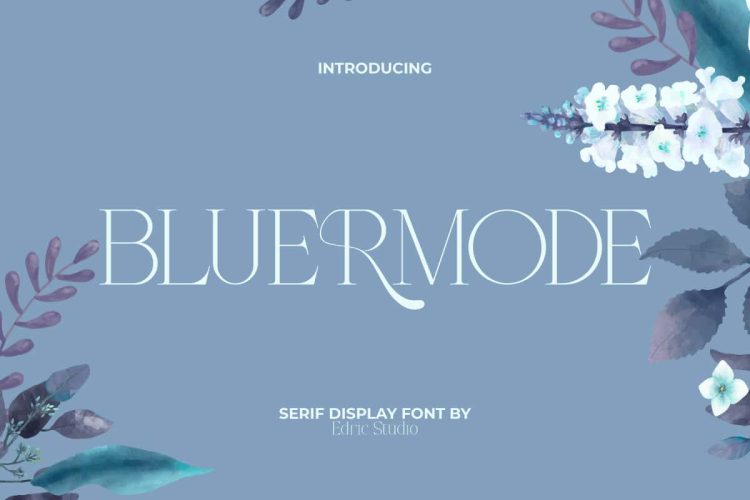 Bluermode Font - Image 9