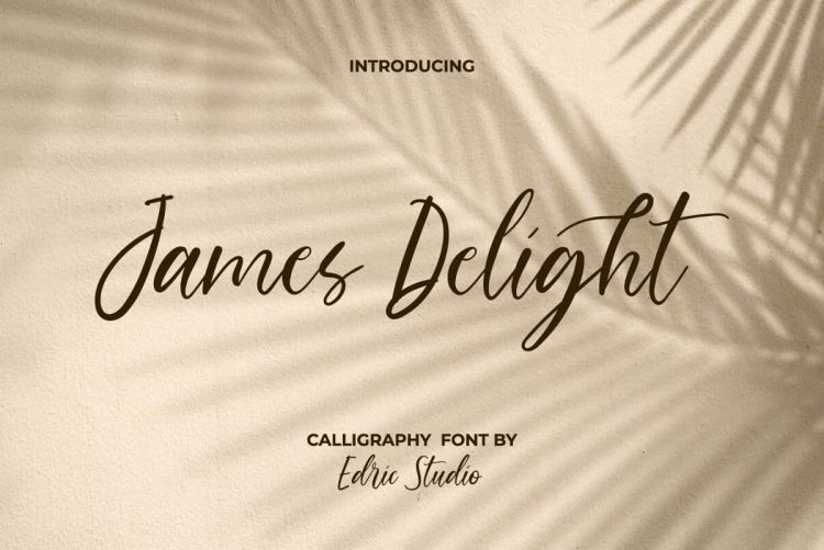 James Delight Font - Image 10