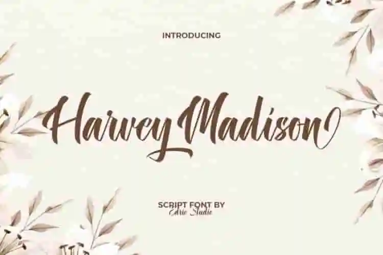 Harvey Madison