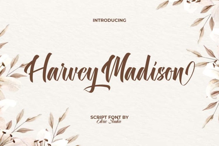 Harvey Madison Font - Image 10