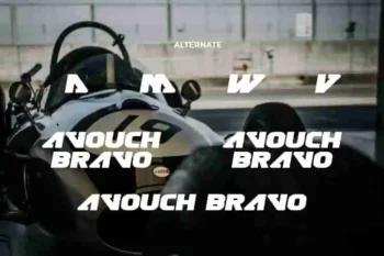 Avouch Bravo