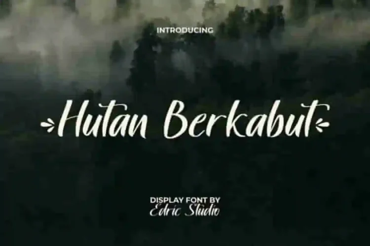 Hutan Berkabut