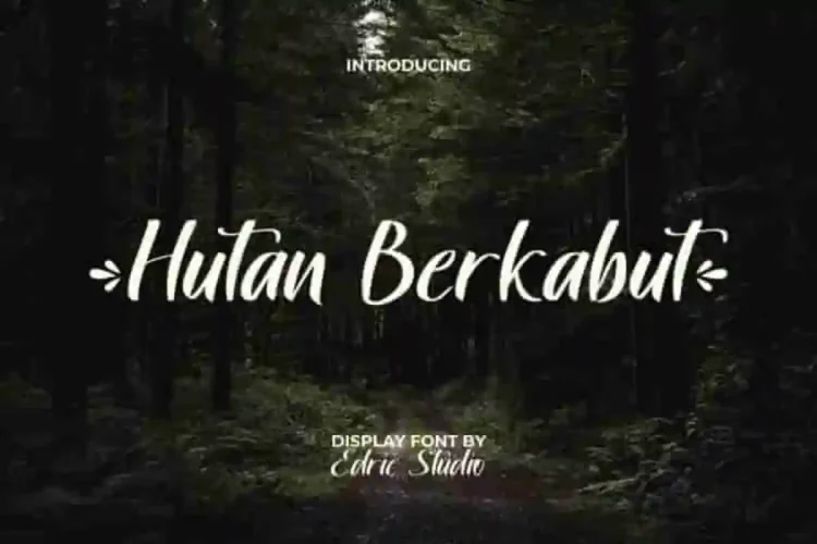 Hutan Berkabut