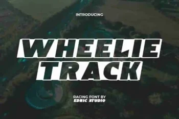 Wheelie Track