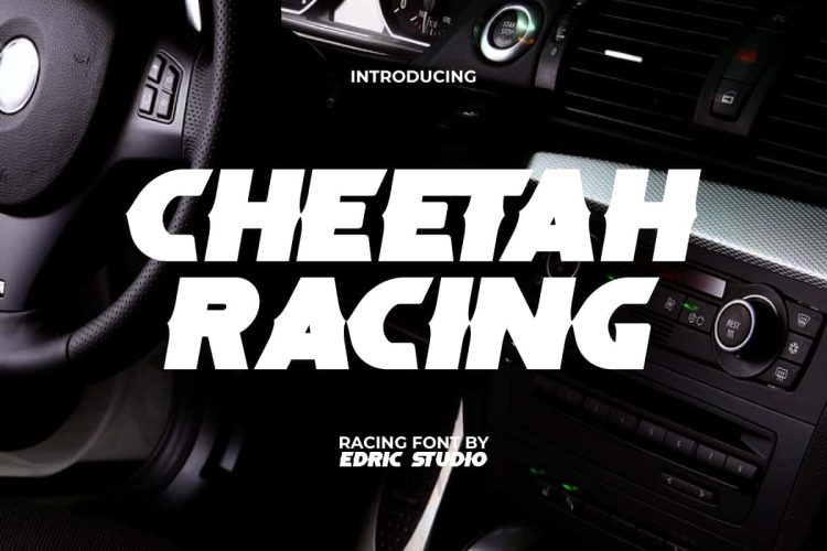 Cheetah Racing Font - Image 9