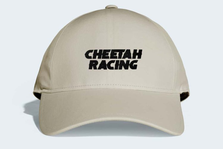 Cheetah Racing Font - Image 3