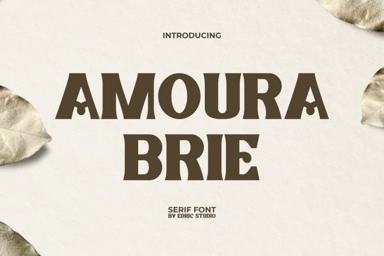 Amoura Brie Font