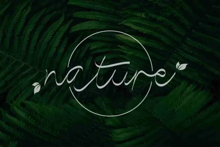 Lorieta Handwritting Font