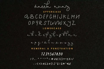 Saeela Nuary Font Duo Serif