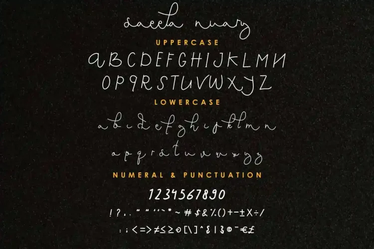 Saeela Nuary Font Duo Serif
